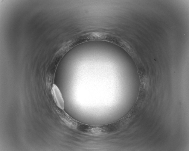 X0000080190423200612081205