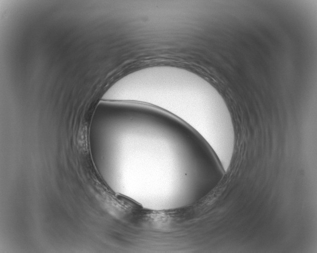 X0000080190425200612081205