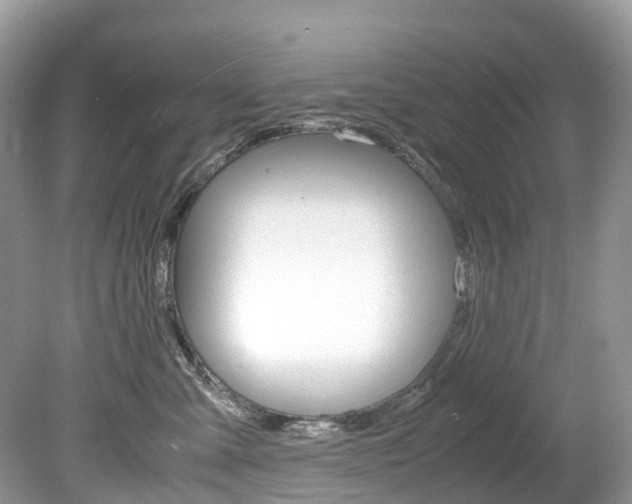 X0000080190427200612081205