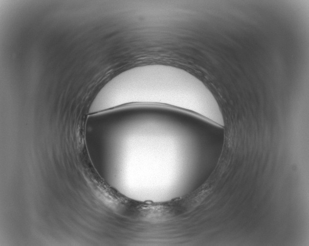 X0000080190428200612081205