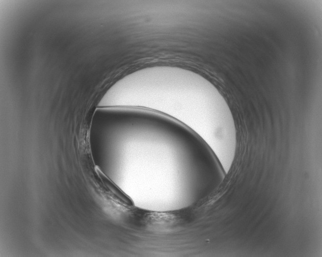 X0000080190429200612081205