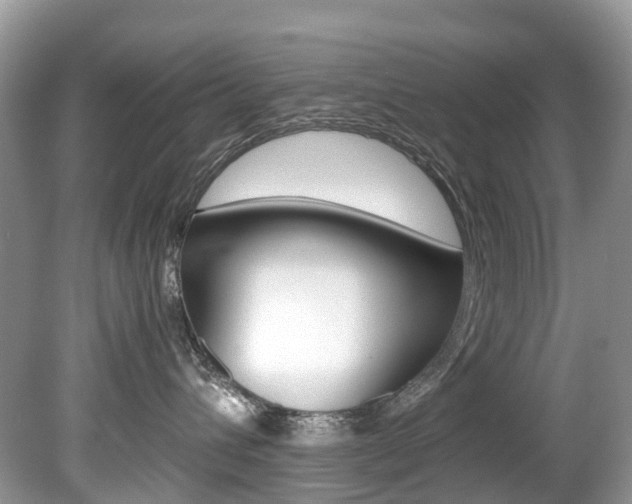 X0000080190432200612081205