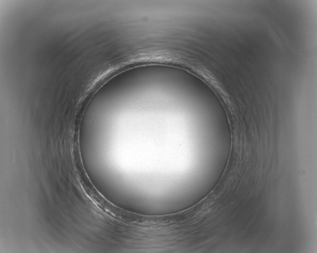X0000080190434200612081204