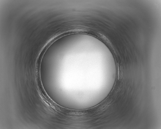X0000080190435200612081204