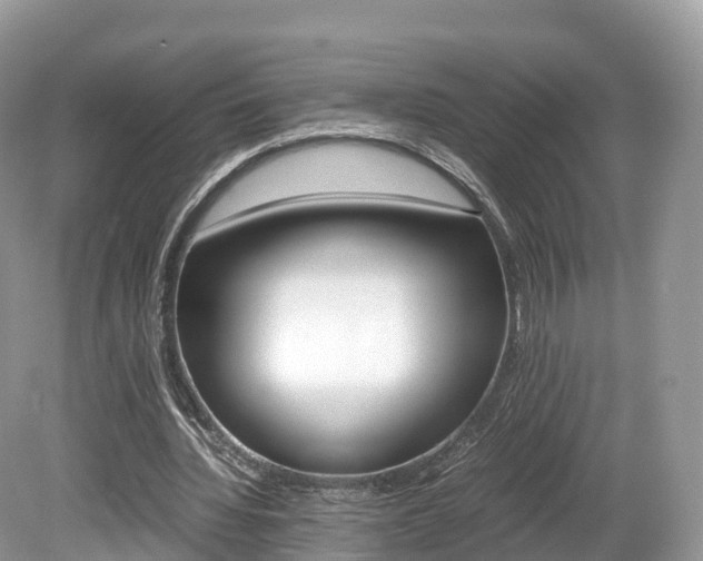 X0000080190436200612081204