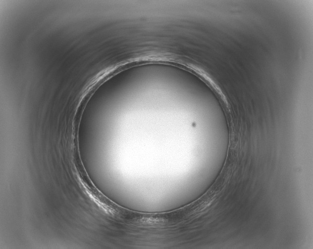 X0000080190437200612081204