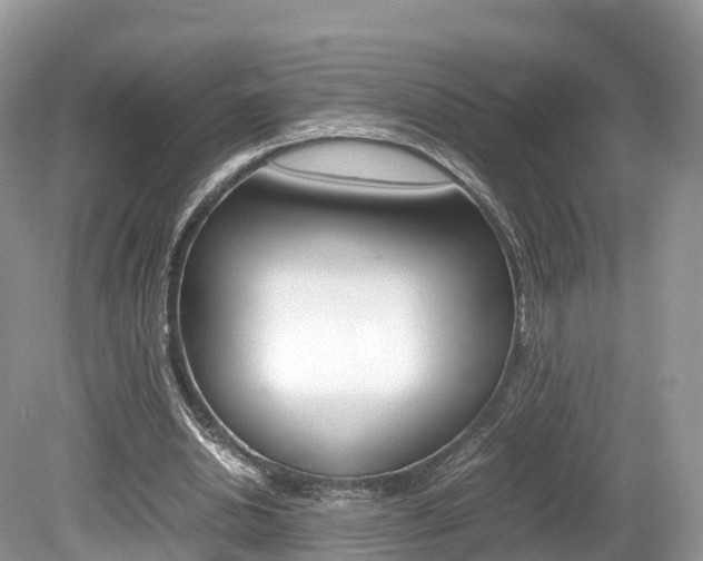 X0000080190438200612081204