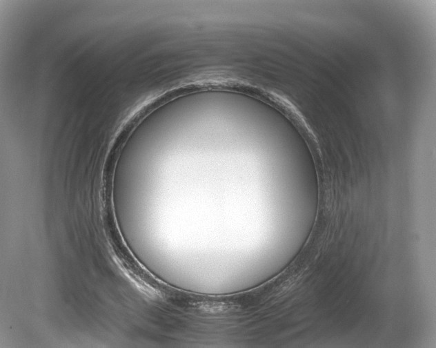X0000080190439200612081204