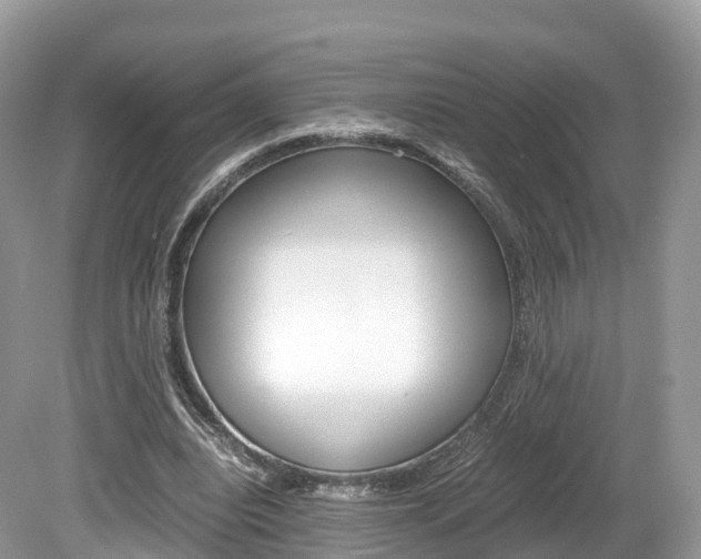X0000080190440200612081204