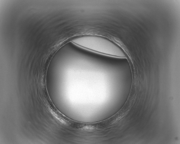X0000080190441200612081204
