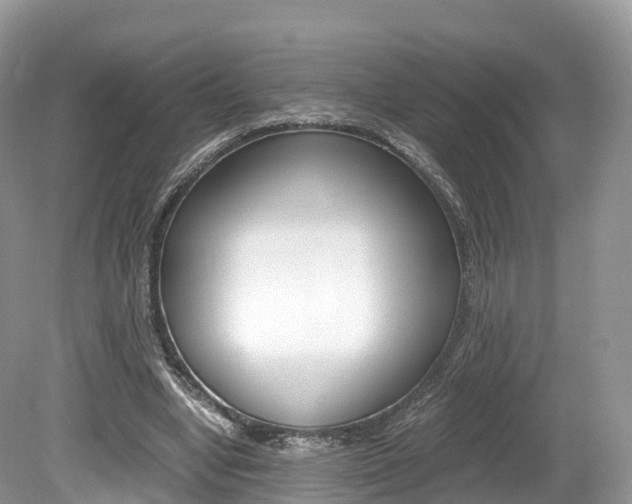 X0000080190442200612081204