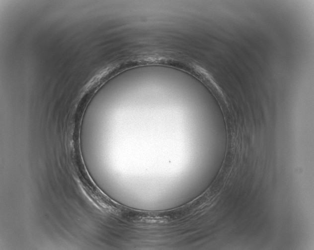 X0000080190443200612081204