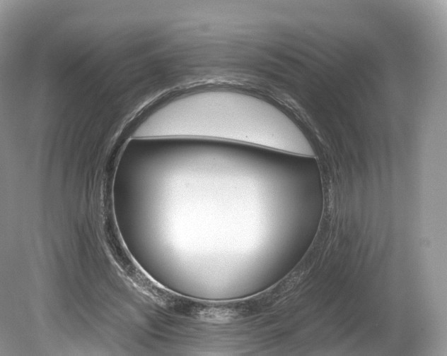 X0000080190444200612081204