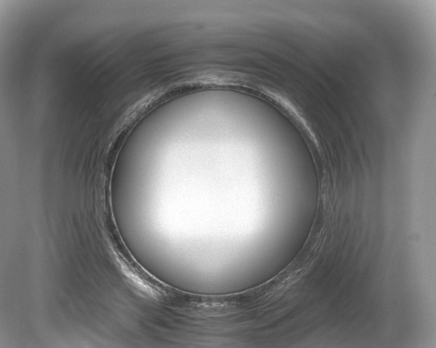 X0000080190445200612081204