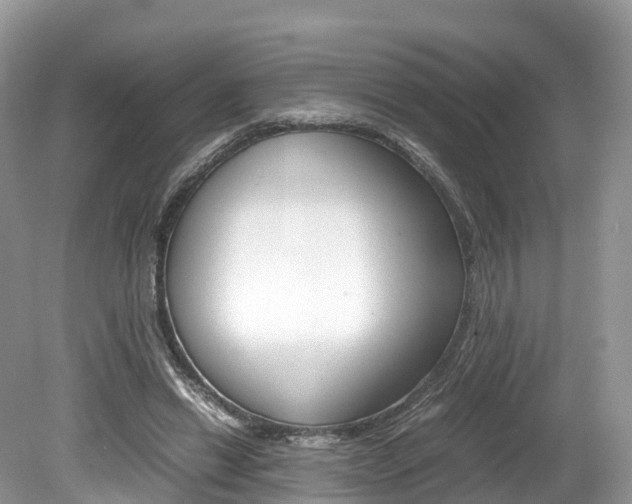 X0000080190446200612081204
