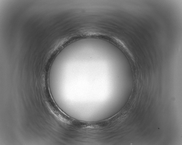 X0000080190447200612081204