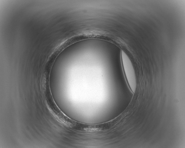 X0000080190448200612081204