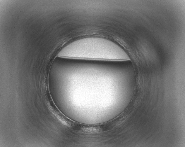 X0000080190449200612081204