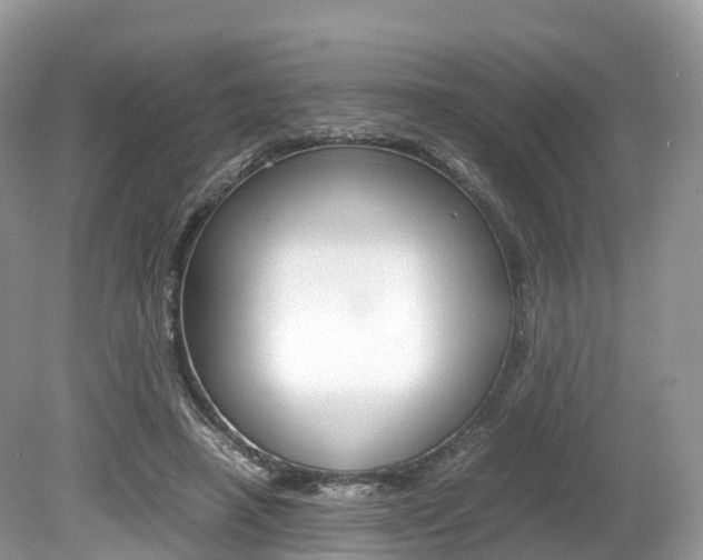 X0000080190450200612081204