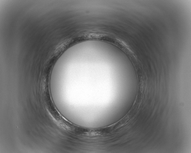 X0000080190451200612081204