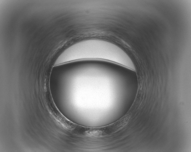 X0000080190452200612081204
