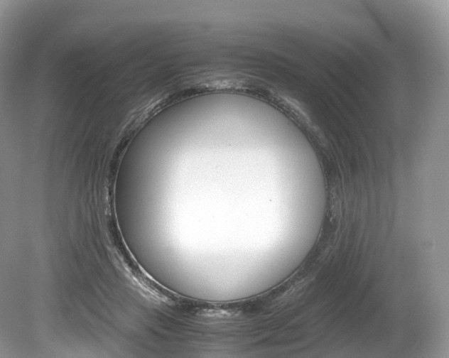 X0000080190453200612081204