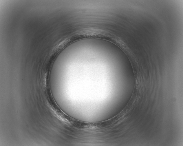 X0000080190454200612081204