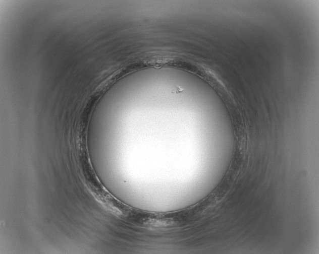X0000080190455200612081204