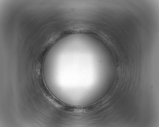 X0000080190458200612081204