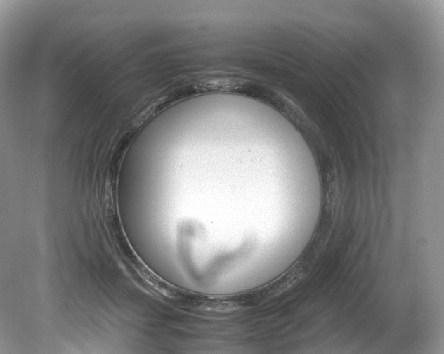 X0000080190459200612081204