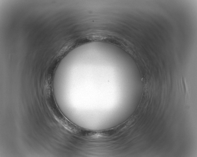 X0000080190460200612081204