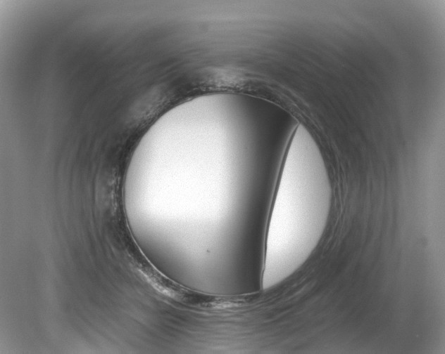X0000080190462200612081204