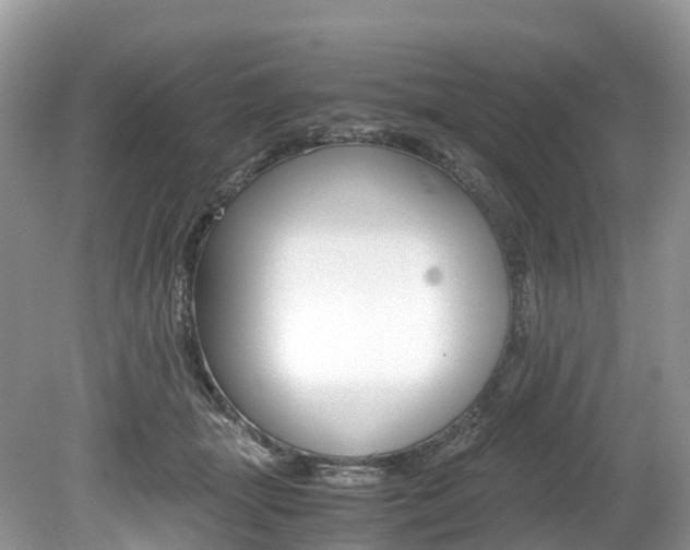 X0000080190463200612081204