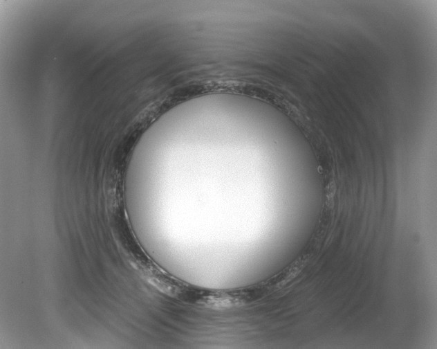 X0000080190464200612081204