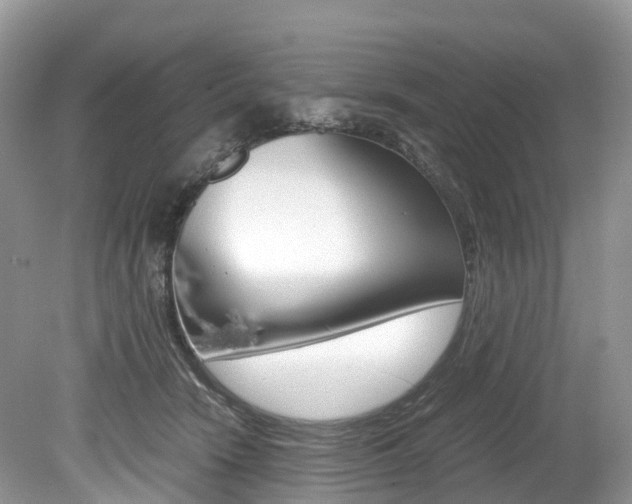 X0000080190466200612081204