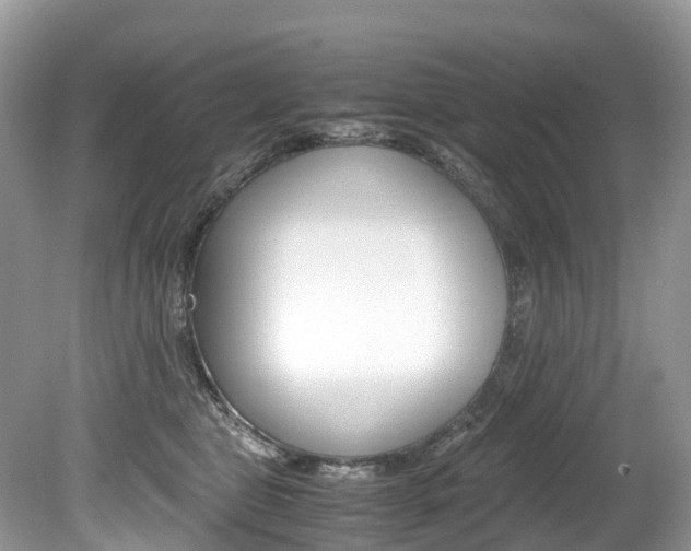 X0000080190469200612081204