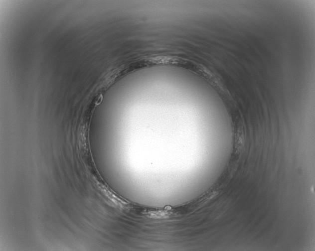 X0000080190473200612081205