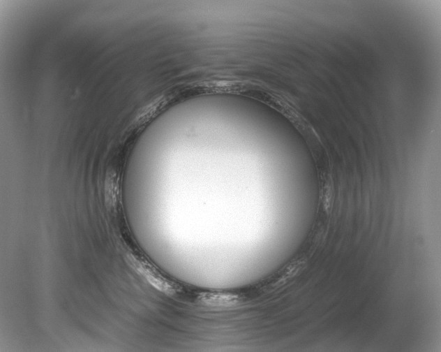 X0000080190476200612081205