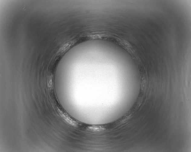 X0000080190477200612081205