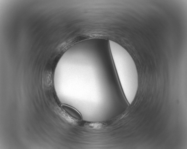 X0000080190478200612081205