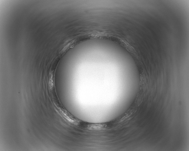 X0000080190479200612081205