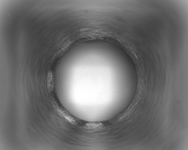X0000080190480200612081205
