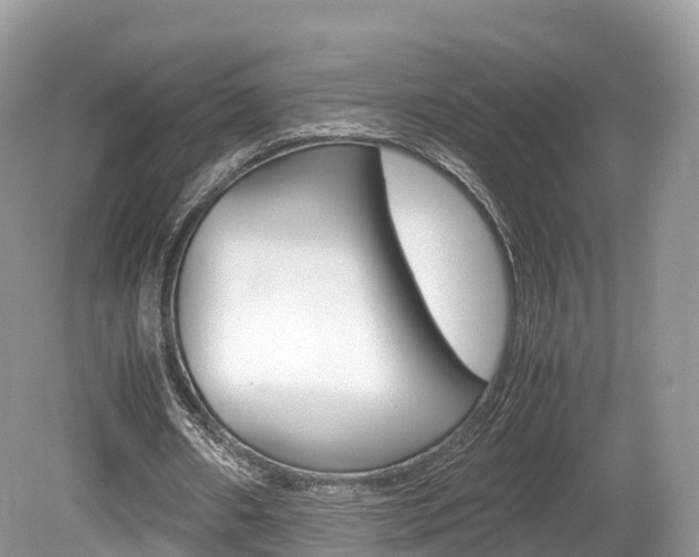 X0000080190482200612081204