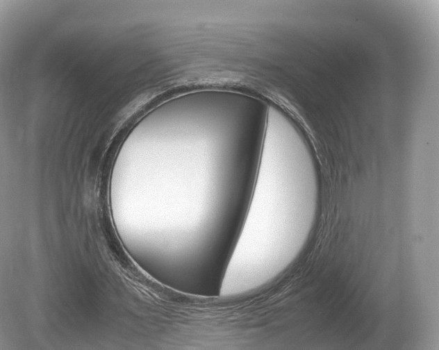 X0000080190483200612081204