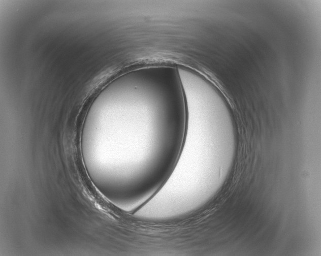 X0000080190485200612081204