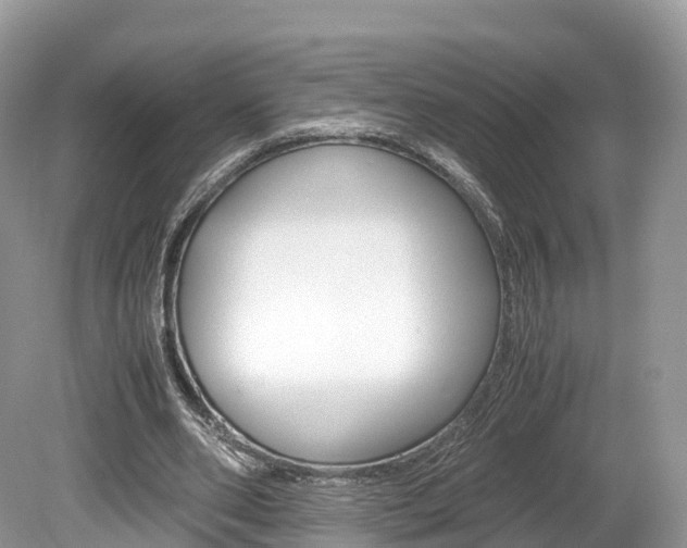 X0000080190486200612081204