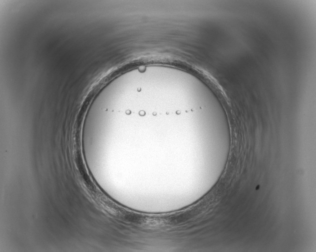 X0000080190487200612081204