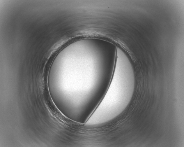 X0000080190488200612081204