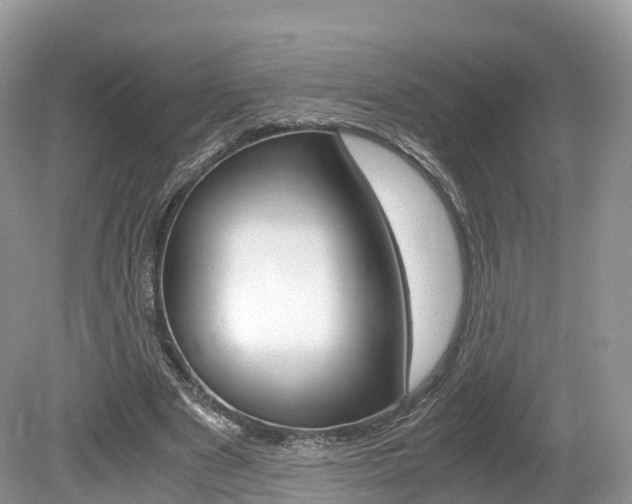 X0000080190489200612081204