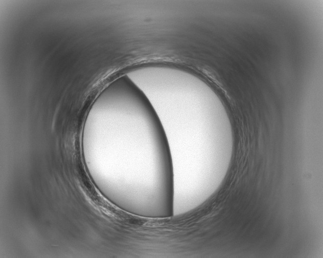 X0000080190491200612081204